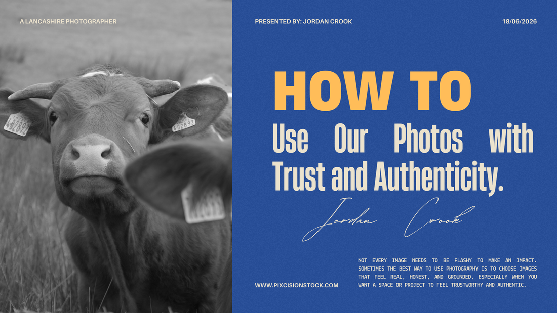 How to Use Our Photos with Trust and Authenticity