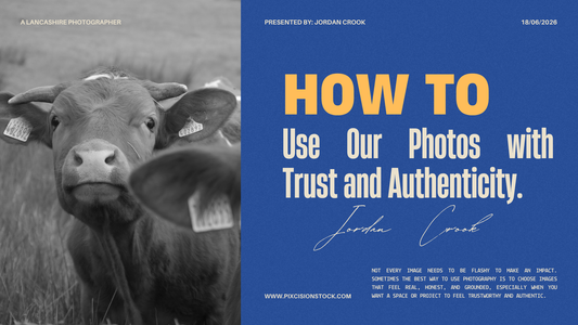 How to Use Our Photos with Trust and Authenticity