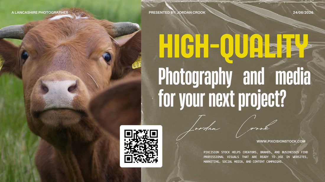 Need high-quality stock photography and media for your next project?