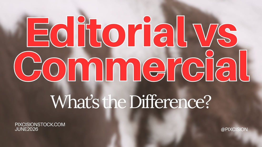 Title graphic for an article about editorial versus commercial use, with blurred brown-and-white patchy cow in the background.