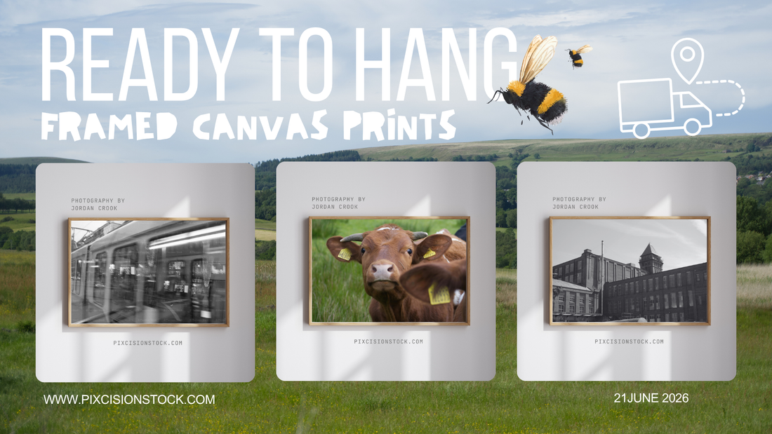 Big News: Introducing Framed Canvas Prints