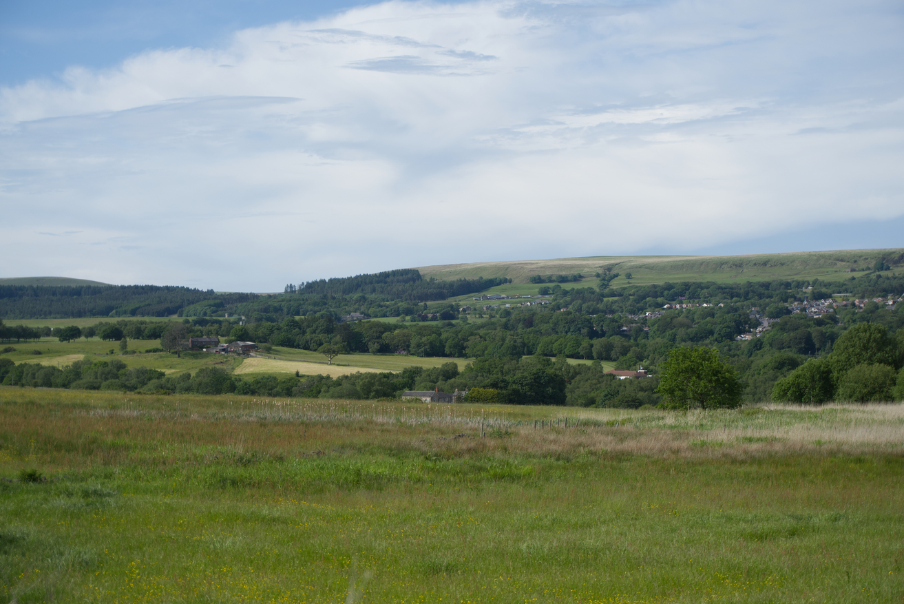 Countryside