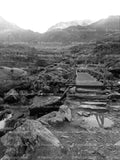 Stream and Footbridge in a Mountain Valley (Monochrome)