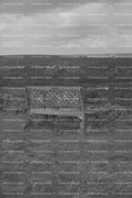 Solitary Wooden Bench Overlooking a Wide Landscape (Monochrome)