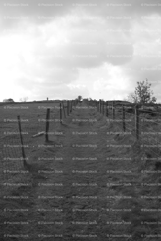 Rural Field Pathway Guided by a Wire Fence (Monochrome) - Stock Video