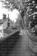 Narrow Stone Walking Path Beside Village Cottages (Monochrome)
