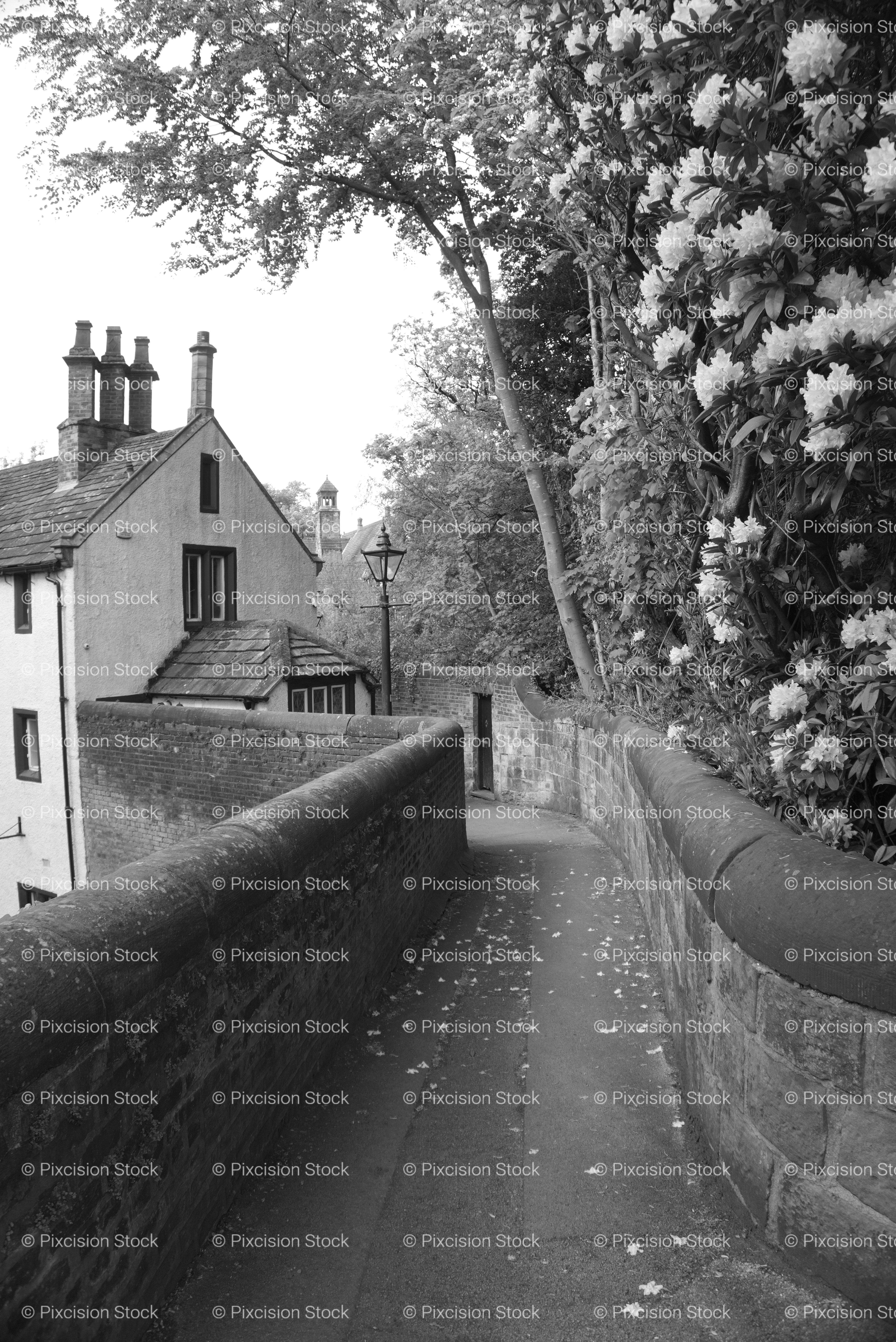 Narrow Stone Walking Path Beside Village Cottages (Monochrome)
