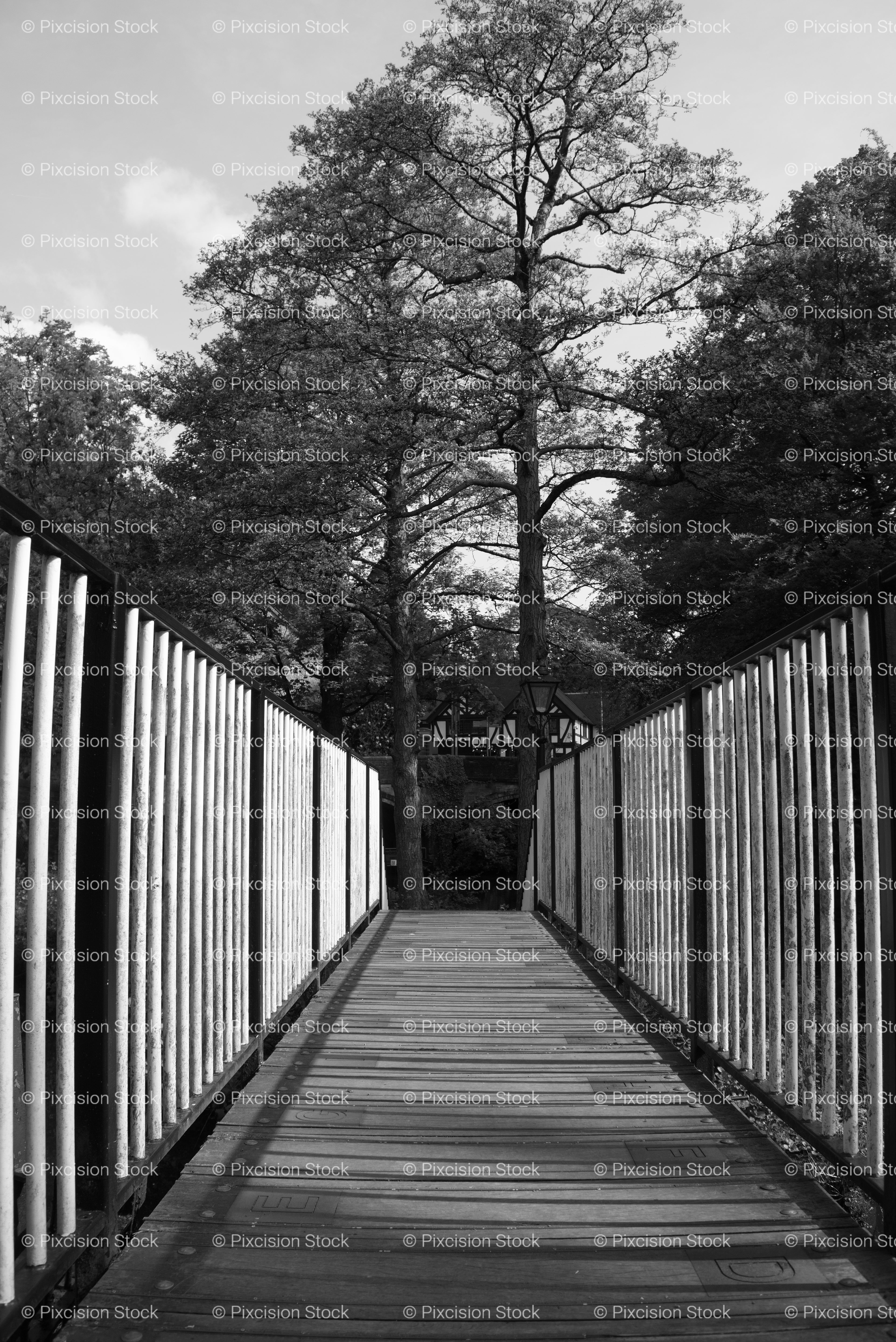 Perspective View Down a Slatted Wooden Pedestrian Bridge (Monochrome)