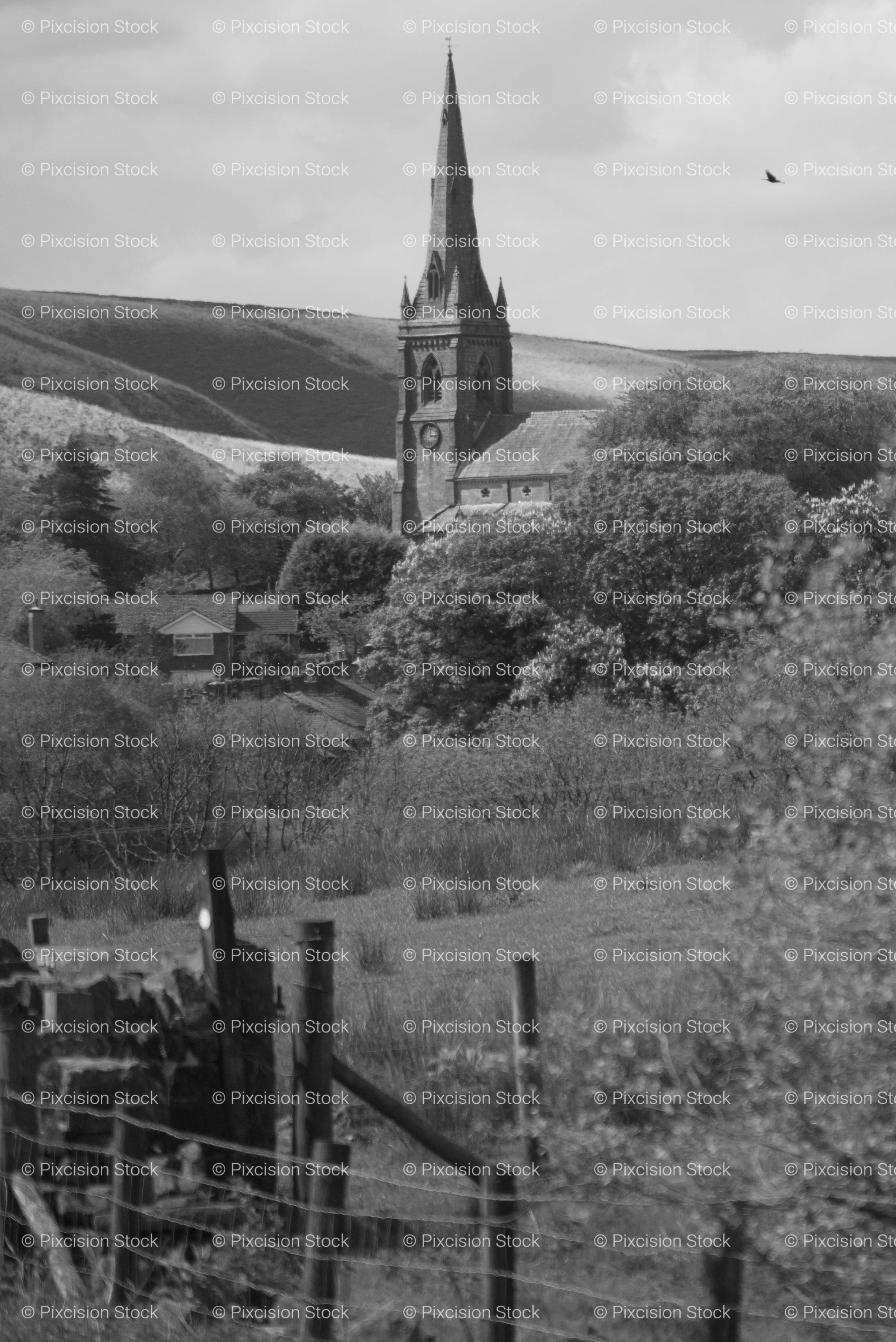 Historic Church Spire Rising Above a Wooded Valley (Monochrome)