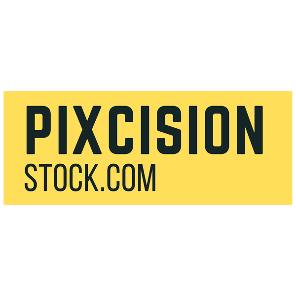 Pixcision Stock