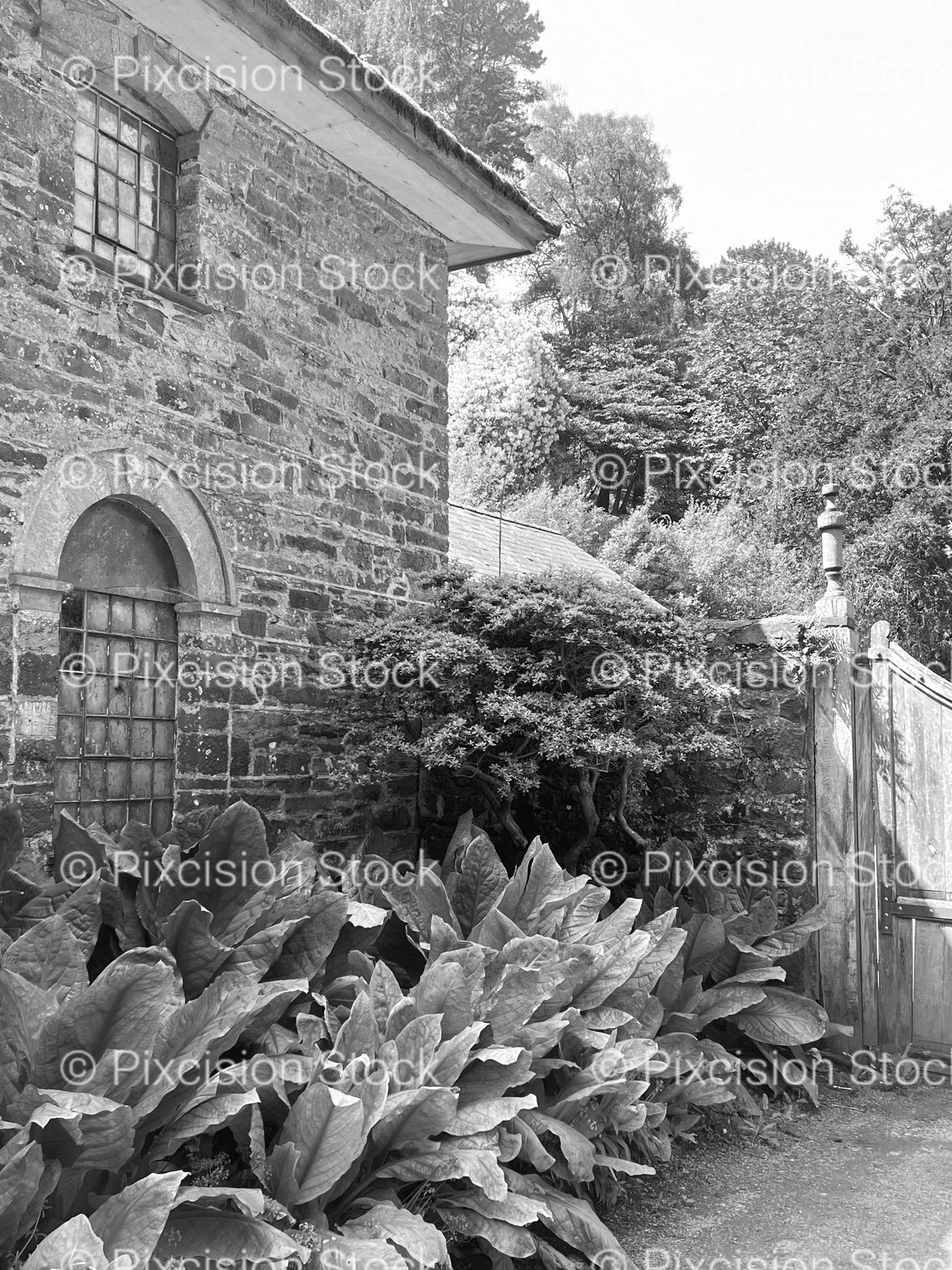 Side View of a Historic Stone House with Lush Foliage (Monochrome)