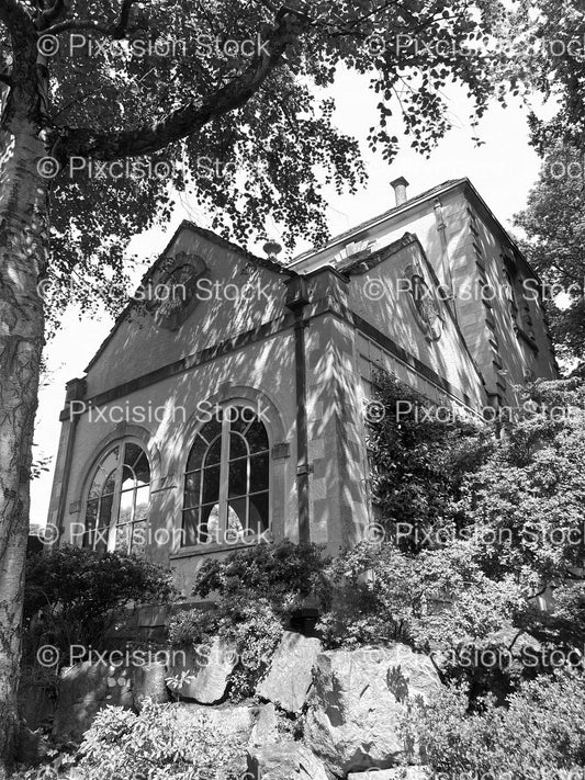 Style Stone Church Nestled Among Trees (Monochrome) - Stock Video