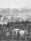 Snow-Covered Pine Forest at the Foot of Steeps Mountains (Monochrome)