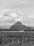 Distant Hilltop Castle Overlooking a Cultivated Field (Monochrome)