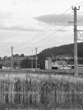 Rural Field with Power Lines and Distant Trees (Monochrome)