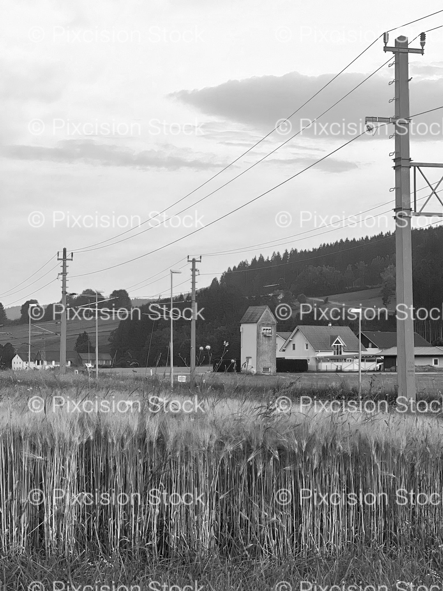 Rural Field with Power Lines and Distant Trees (Monochrome)