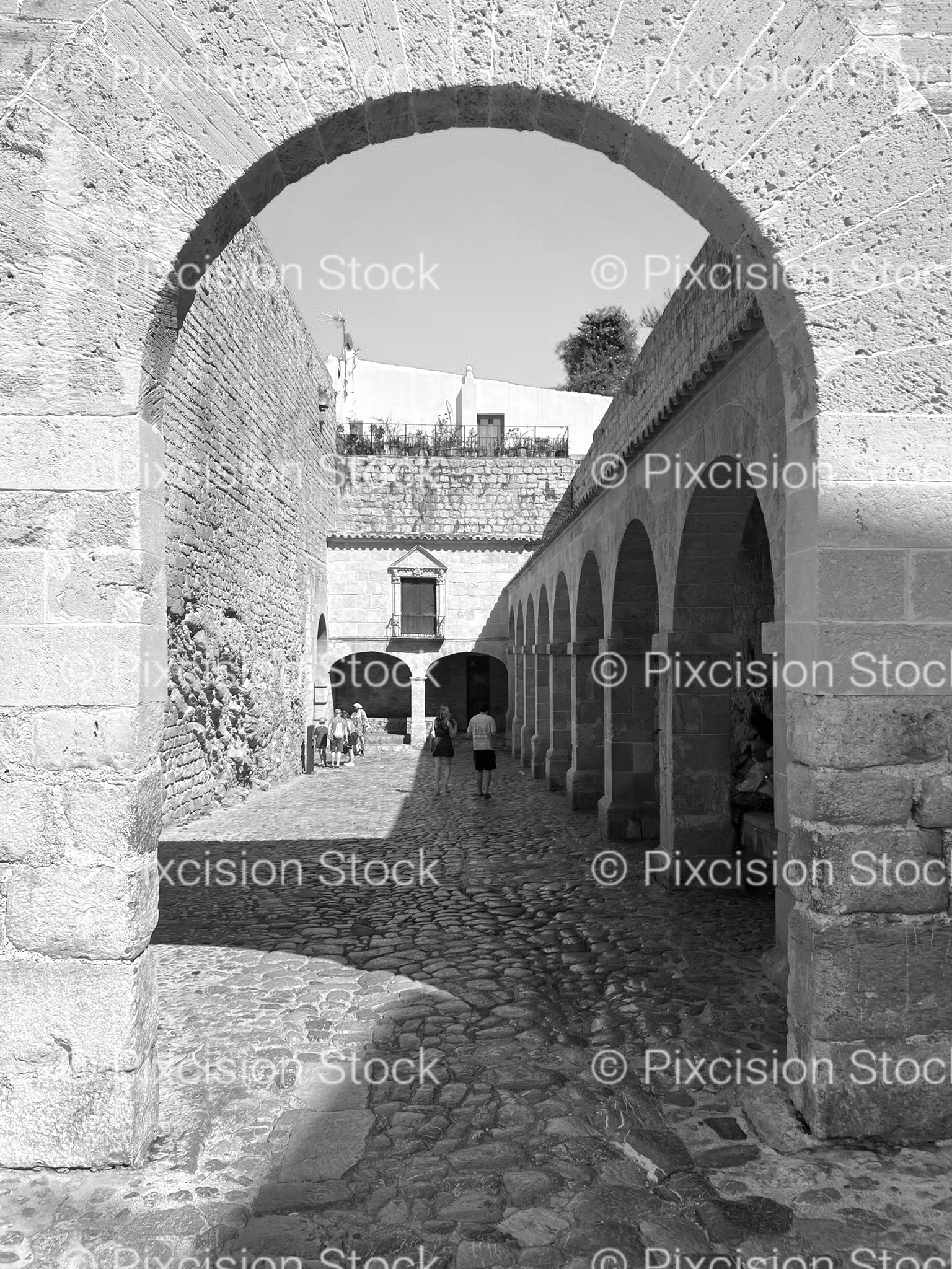 Perspective View Looking Through a Historic Stone Archway Corridor (Monochrome)