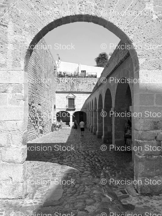 Perspective View Looking Through a Historic Stone Archway Corridor (Monochrome)