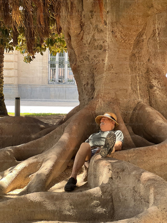 Person sitting under a large tree with a building in the background