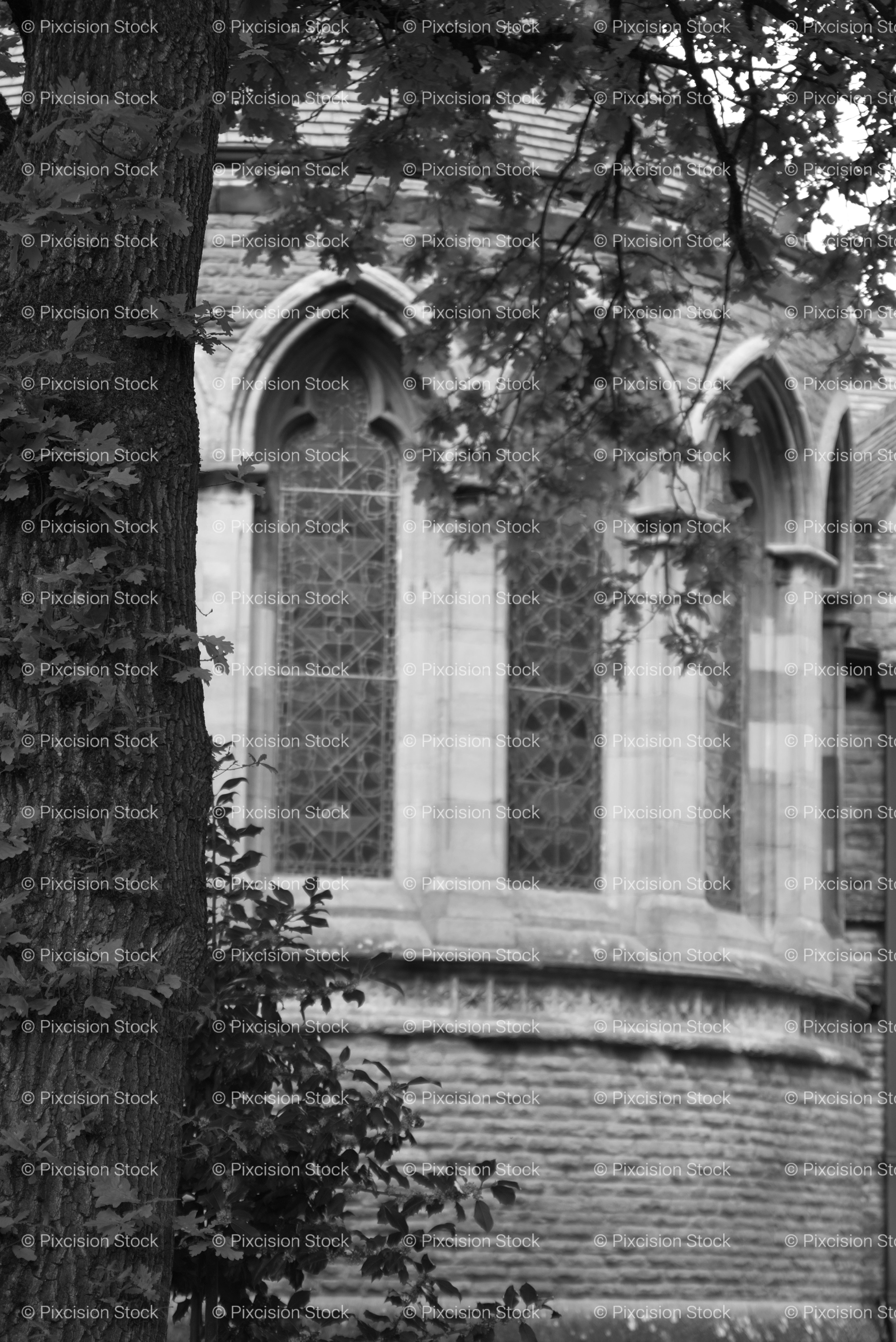 Curving Stone Church Apse Framed by Tree Branches (Monochrome)
