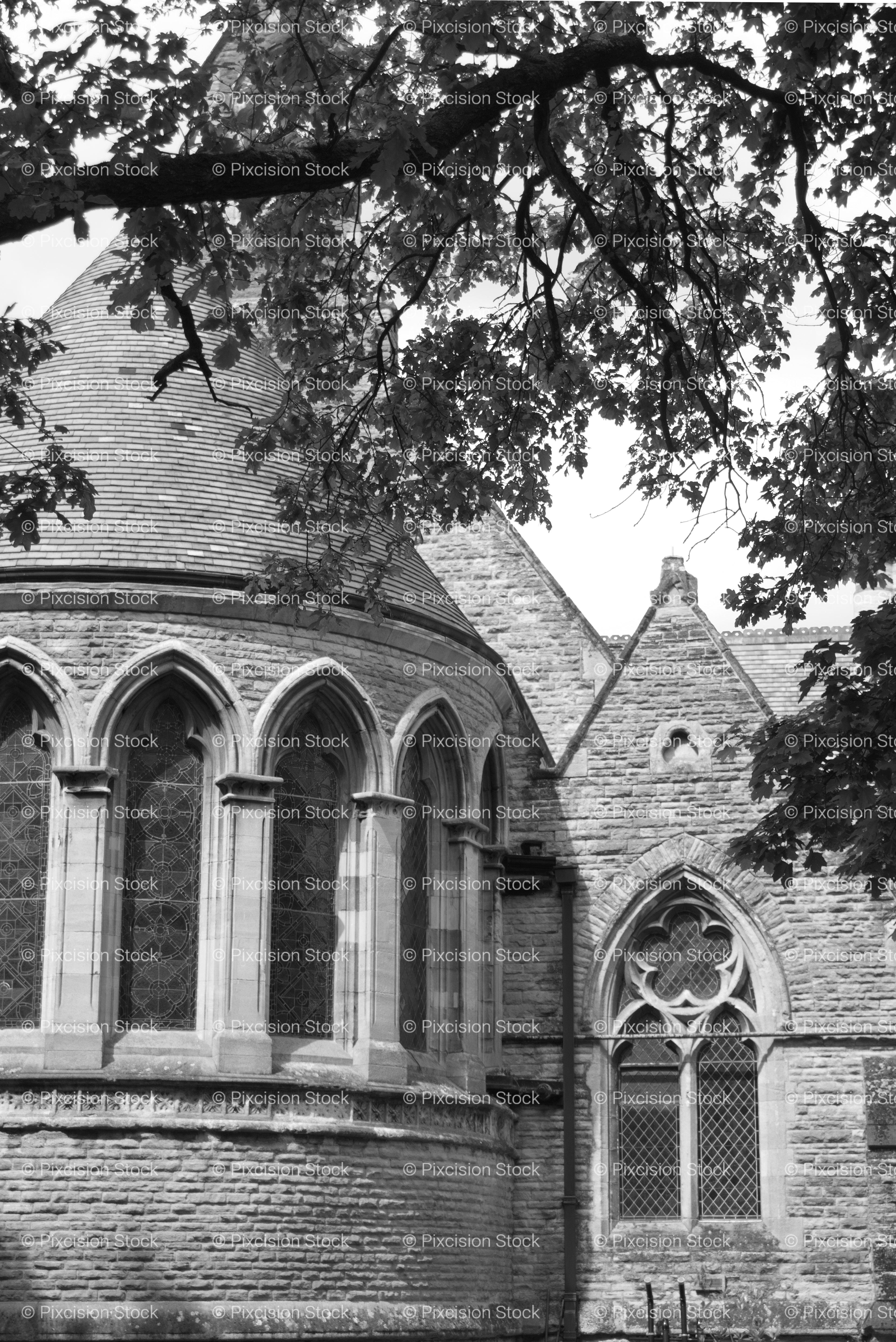 Detailed Stonework of a Church Roofline and Gothic Windows (Monochrome)