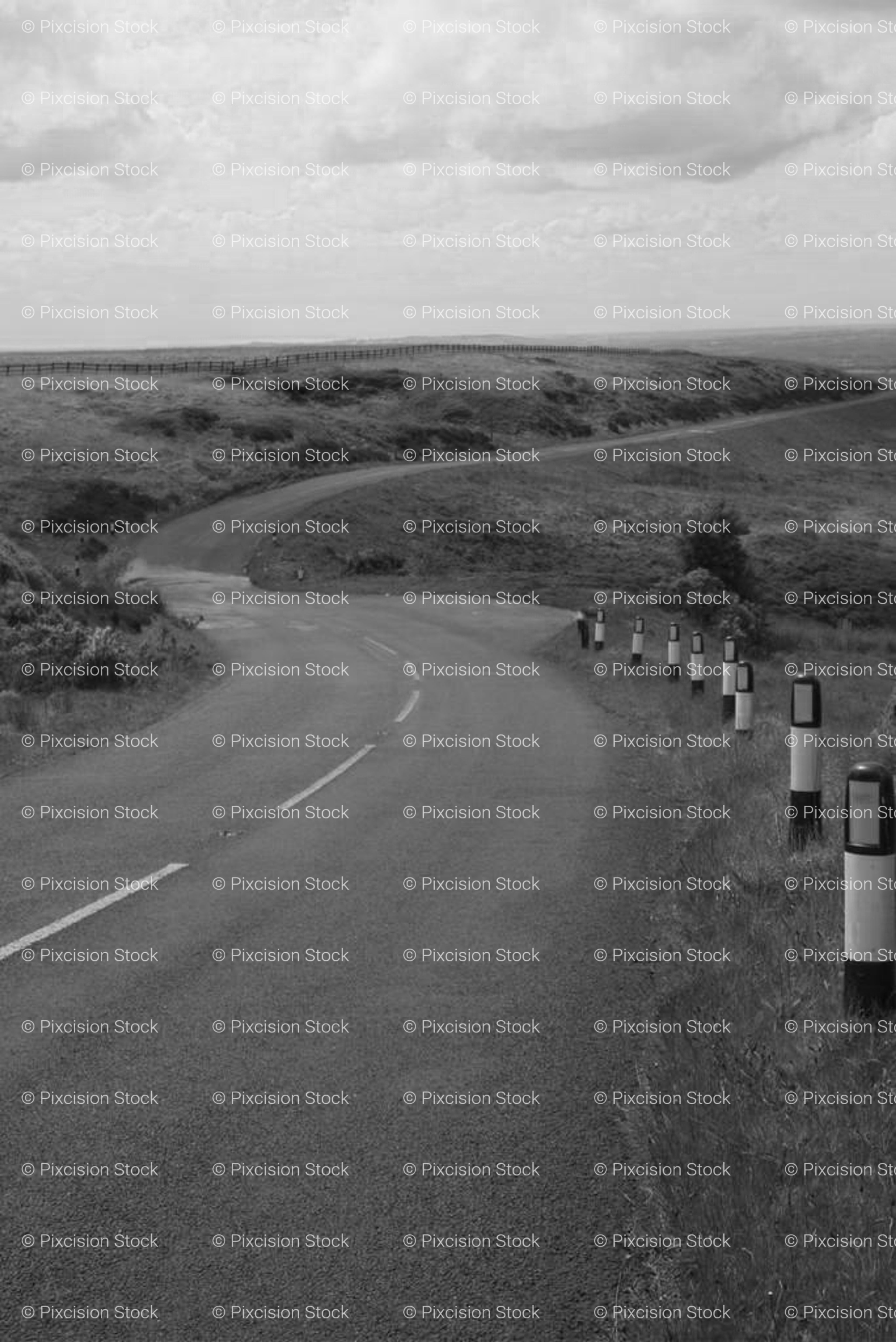 Country Road Curving Through an Open Landscape (Monochrome)