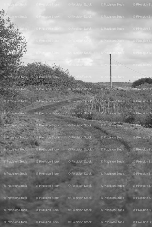 Dirt Country Track Running through Open Fields Under a Cloudy Sky (Monochrome)