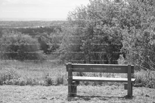 Solitary Wooden Park Bench Positioned Near Overgrown Shrubbery (Monochrome)