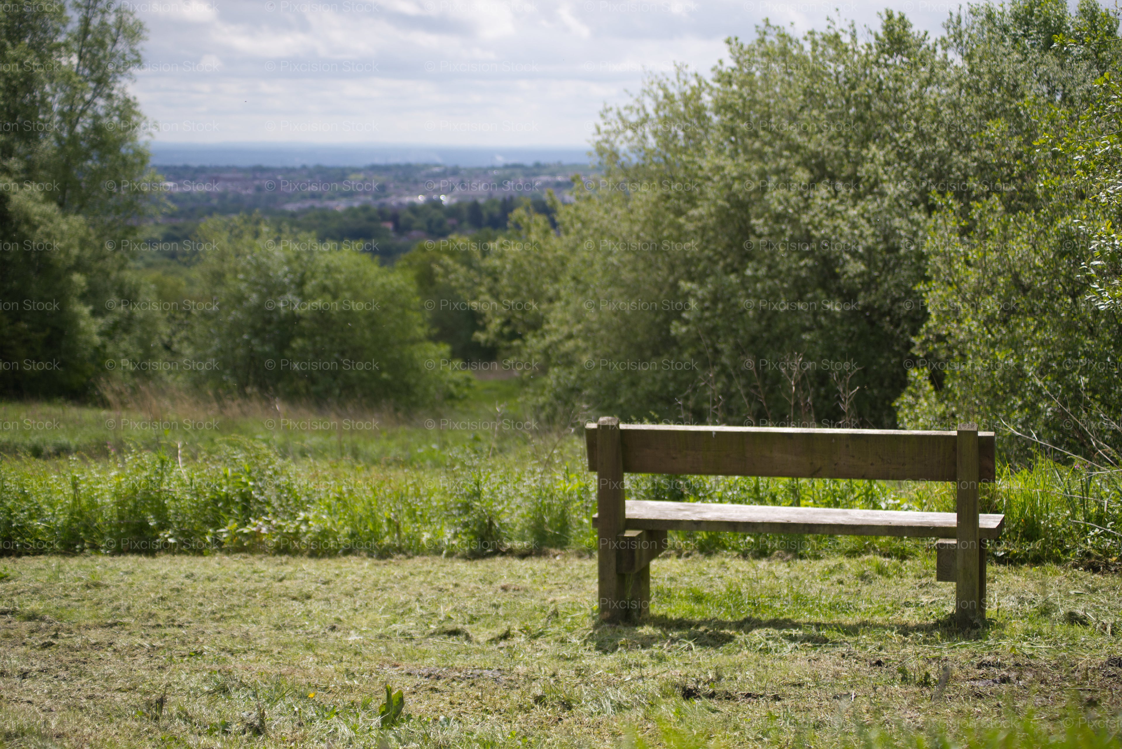 Solitary Wooden Park Bench Positioned Near Overgrown Shrubbery - Stock Video