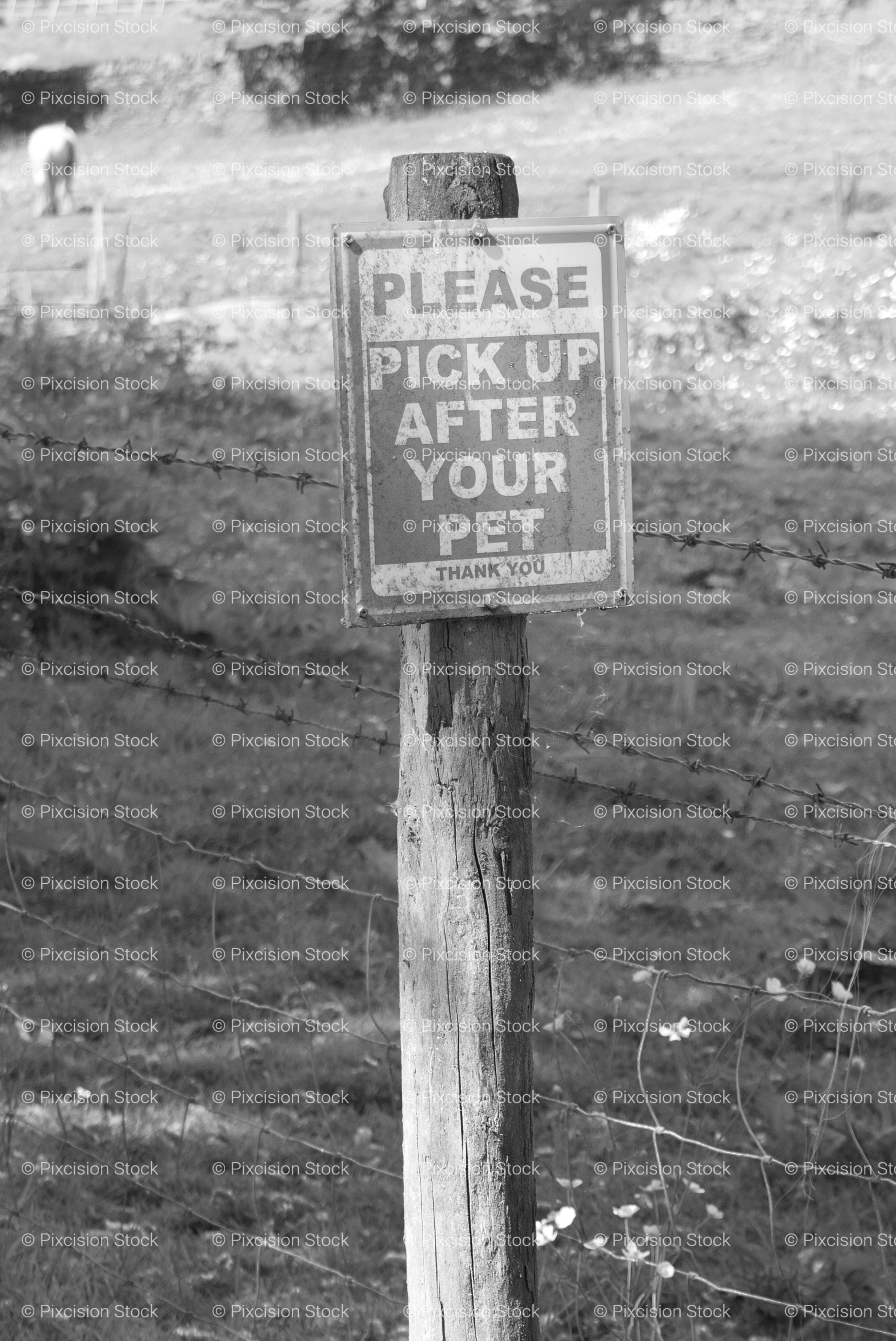 Rustic Wooden Post with a Sign