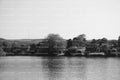 Calm River Scene Flanked by Trees and Small Buildings (Monochrome)