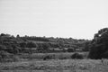 Wide Landscape View of Rural Fields and Wooded Areas (Monochrome)