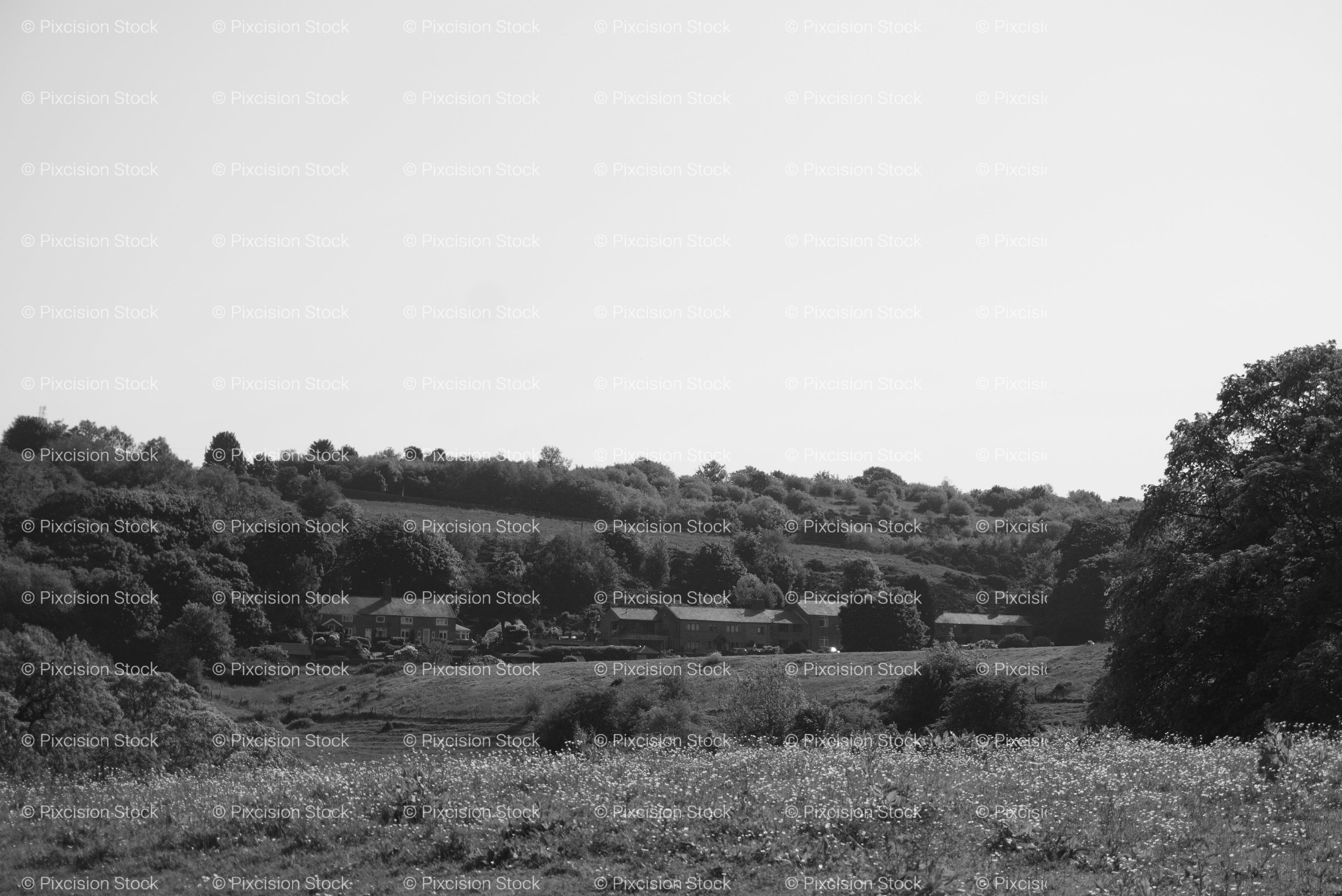 Wide Landscape View of Rural Fields and Wooded Areas (Monochrome)