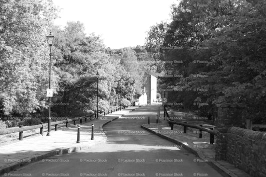 Empty Path or Driveway Leading into a Park or Estate (Monochrome)