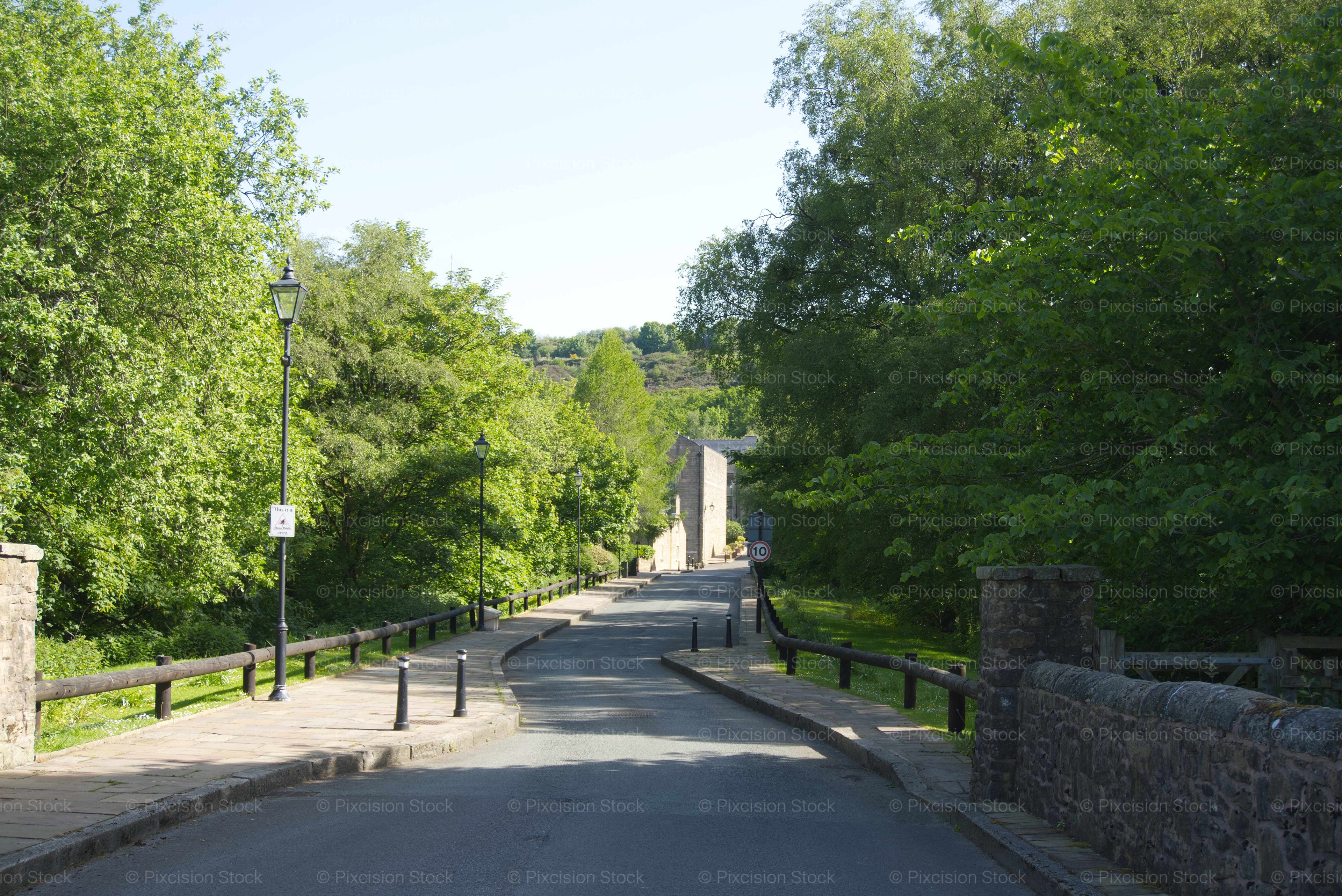 Empty Path or Driveway Leading into a Park or Estate