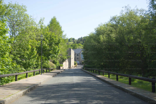Paved pathway lined with trees and a building in the distance under a clear blue sky.