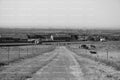 Long Country Track Leading Through Open Farmland with Distant Buildings (Monochrome)