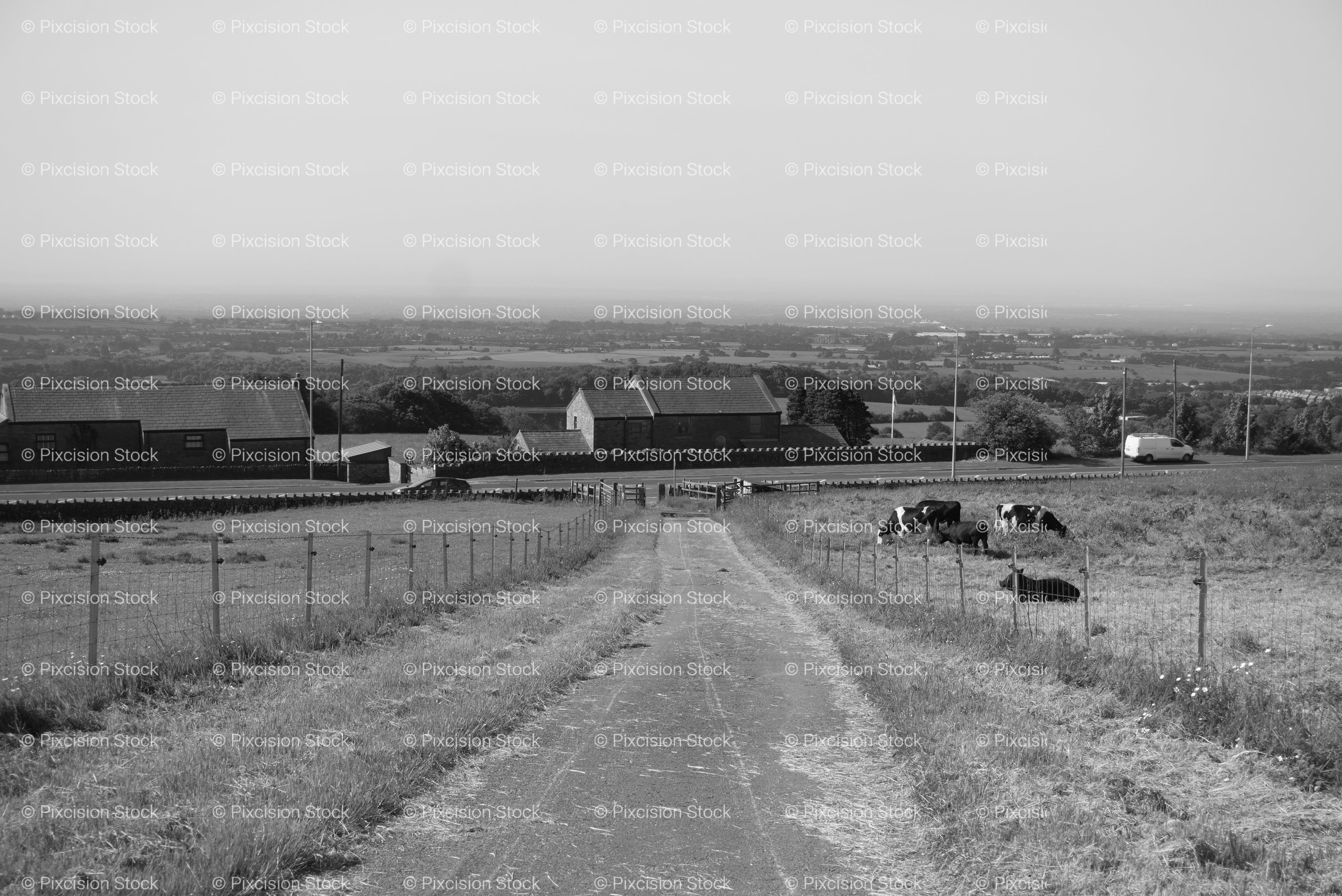 Long Country Track Leading Through Open Farmland with Distant Buildings (Monochrome)