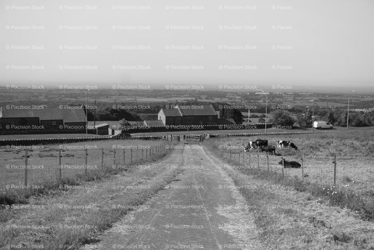 Long Country Track Leading Through Open Farmland with Distant Buildings (Monochrome) - Stock Video