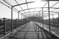 Perspective View Down a Long, Covered Outdoor Walkway with Metal Framework (Monochrome)