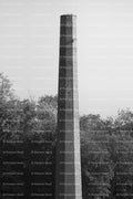 Tall, Industrial Brick Smokestack Tower Rising Above Trees (Monochrome)