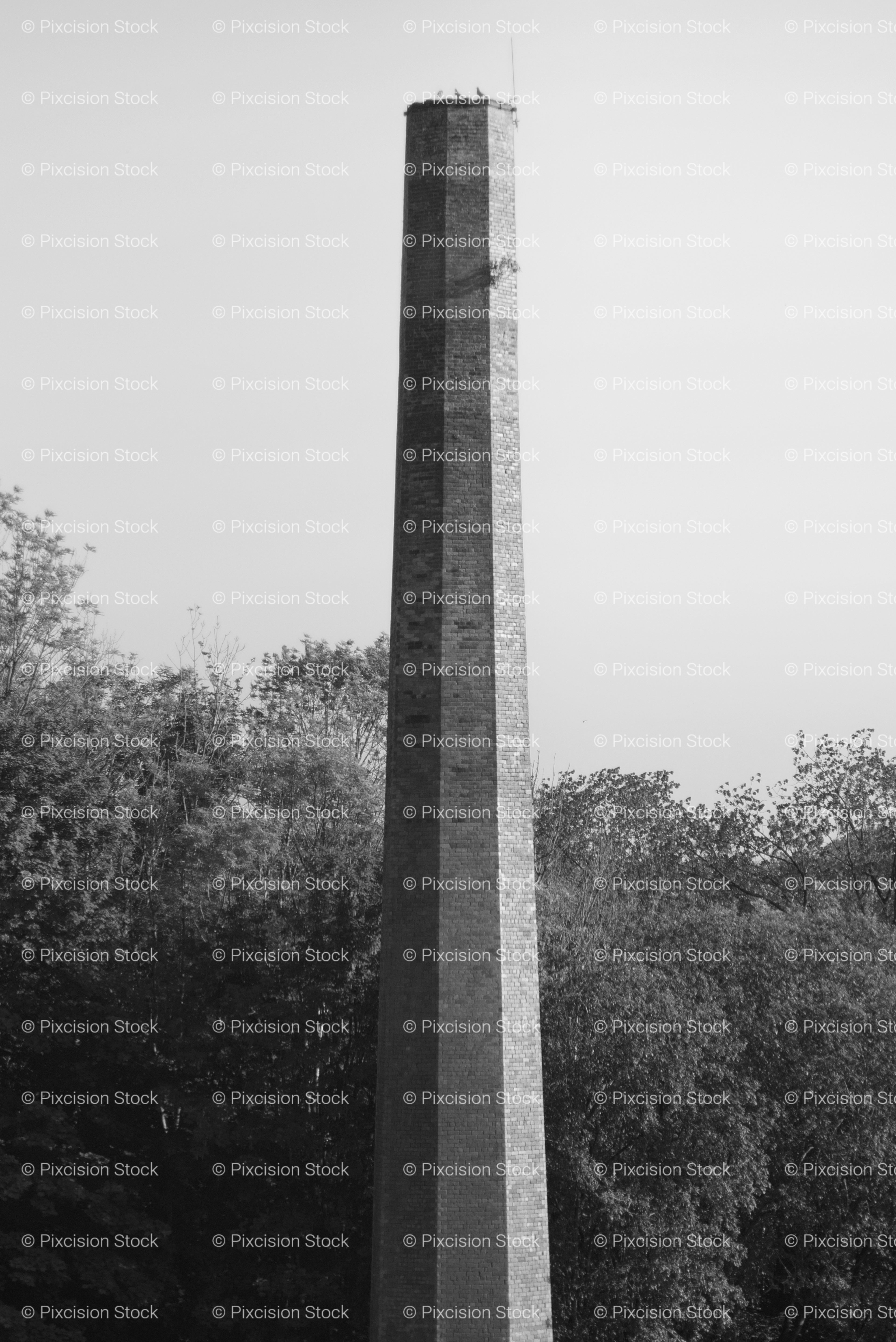 Tall, Industrial Brick Smokestack Tower Rising Above Trees (Monochrome)