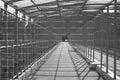 Symmetric Point-of-View Shot Down an Enclosed Pedestrian Bridge (Monochrome)