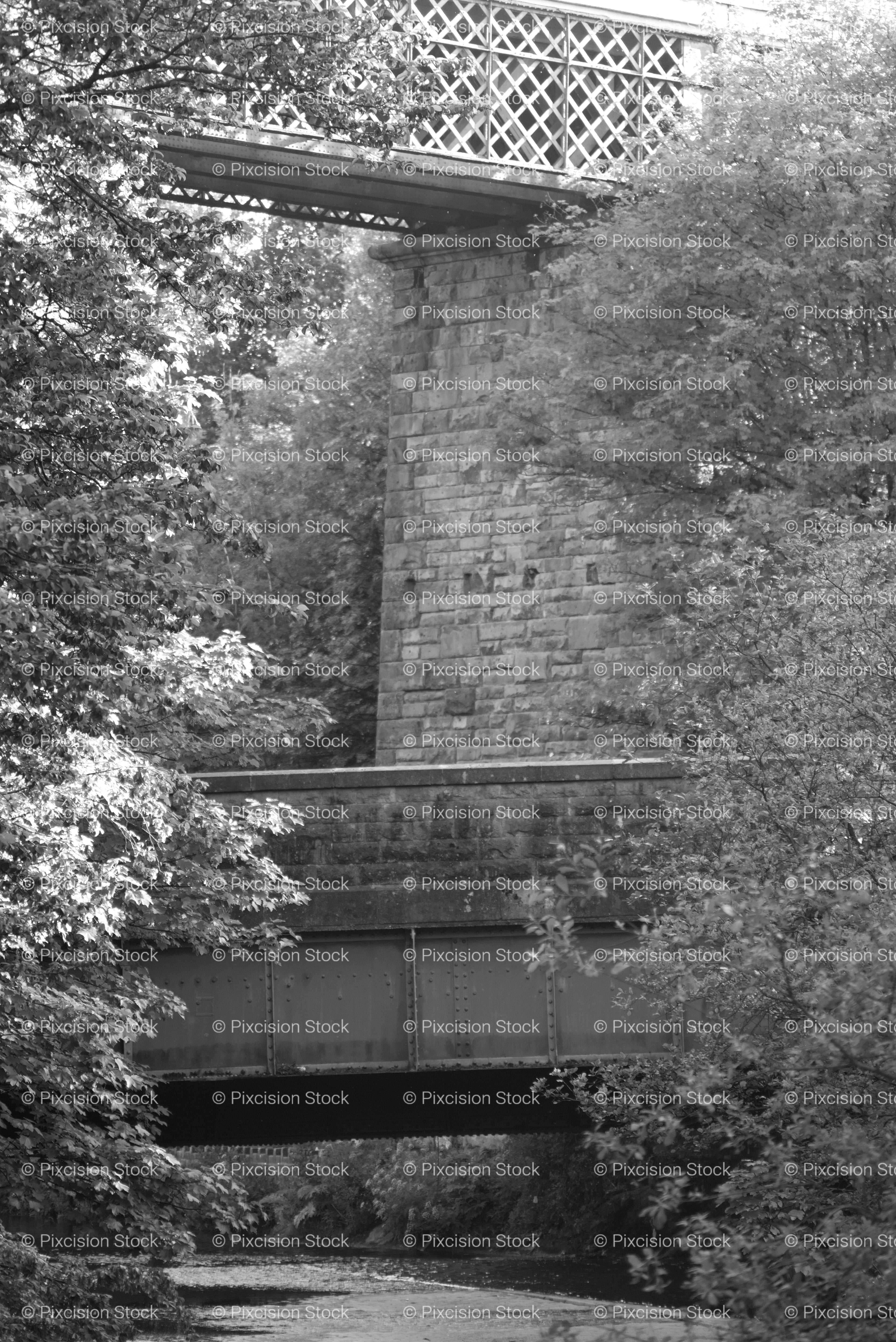 Old Stone and Metal Bridge Structure Overhung by Overgrown Trees (Monochrome)