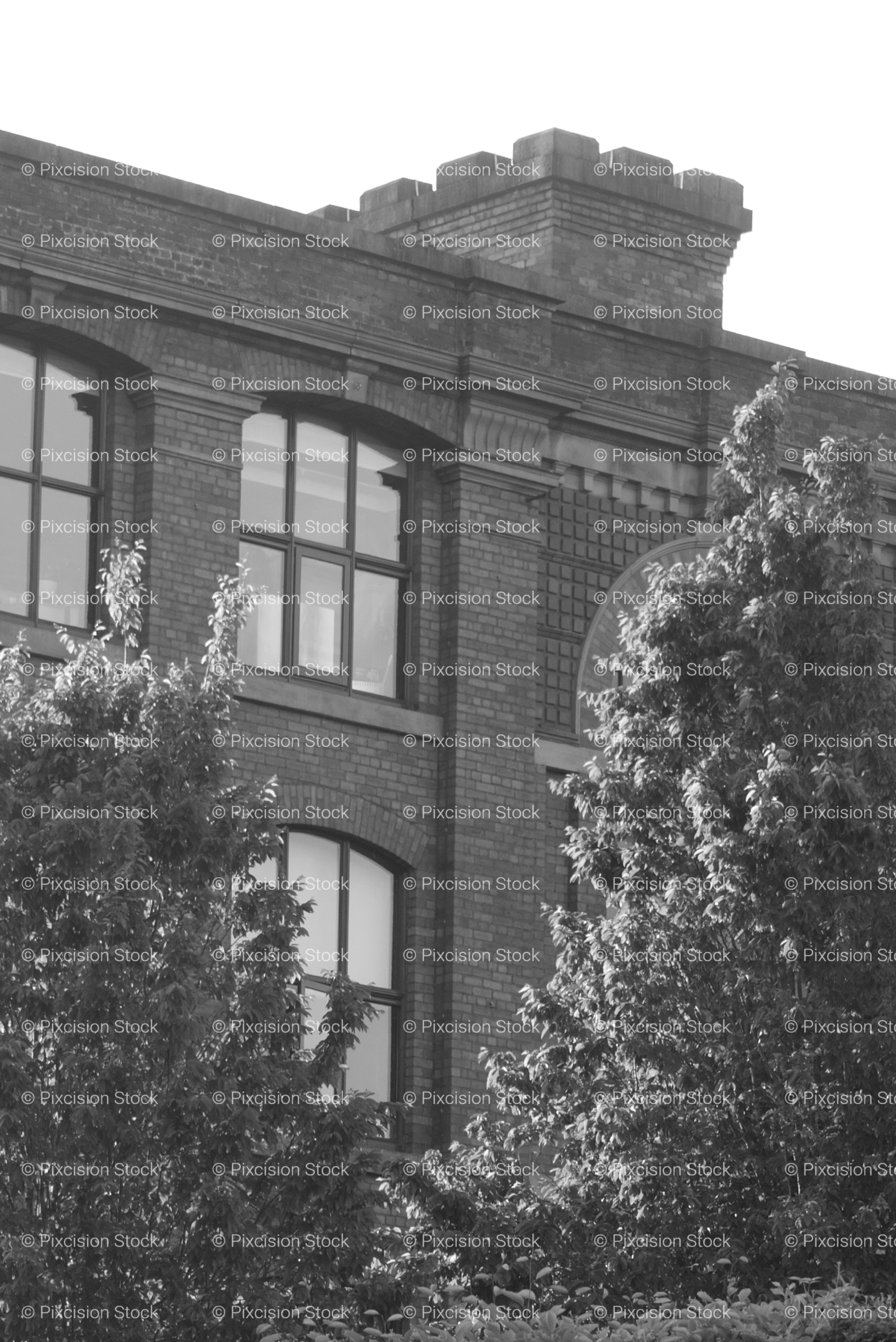 Facade of a Historic Brick Mill Building Framed by Trees (Monochrome)