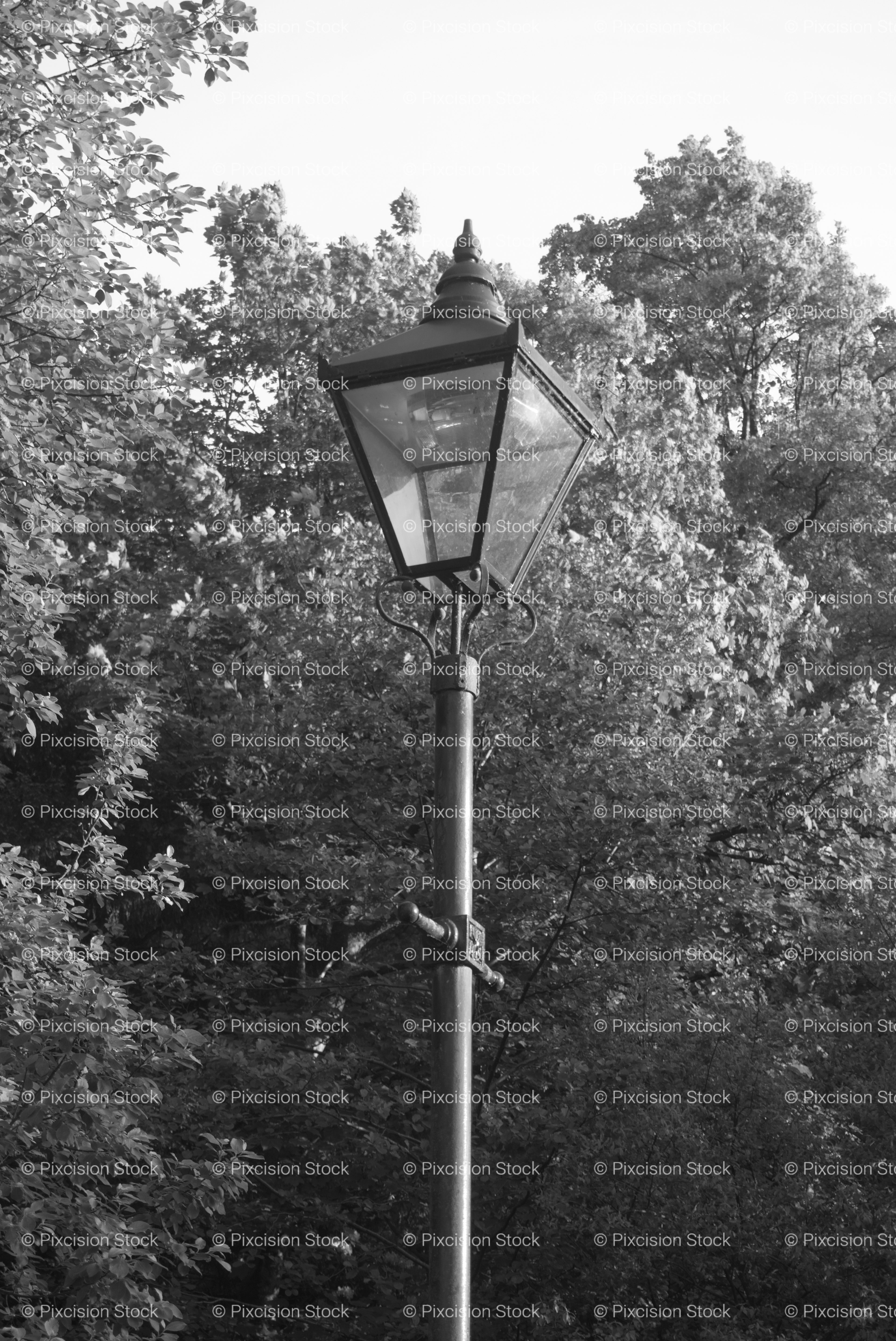 Classic Vintage Lamppost Standing Before Dense Woodland (Monochrome)