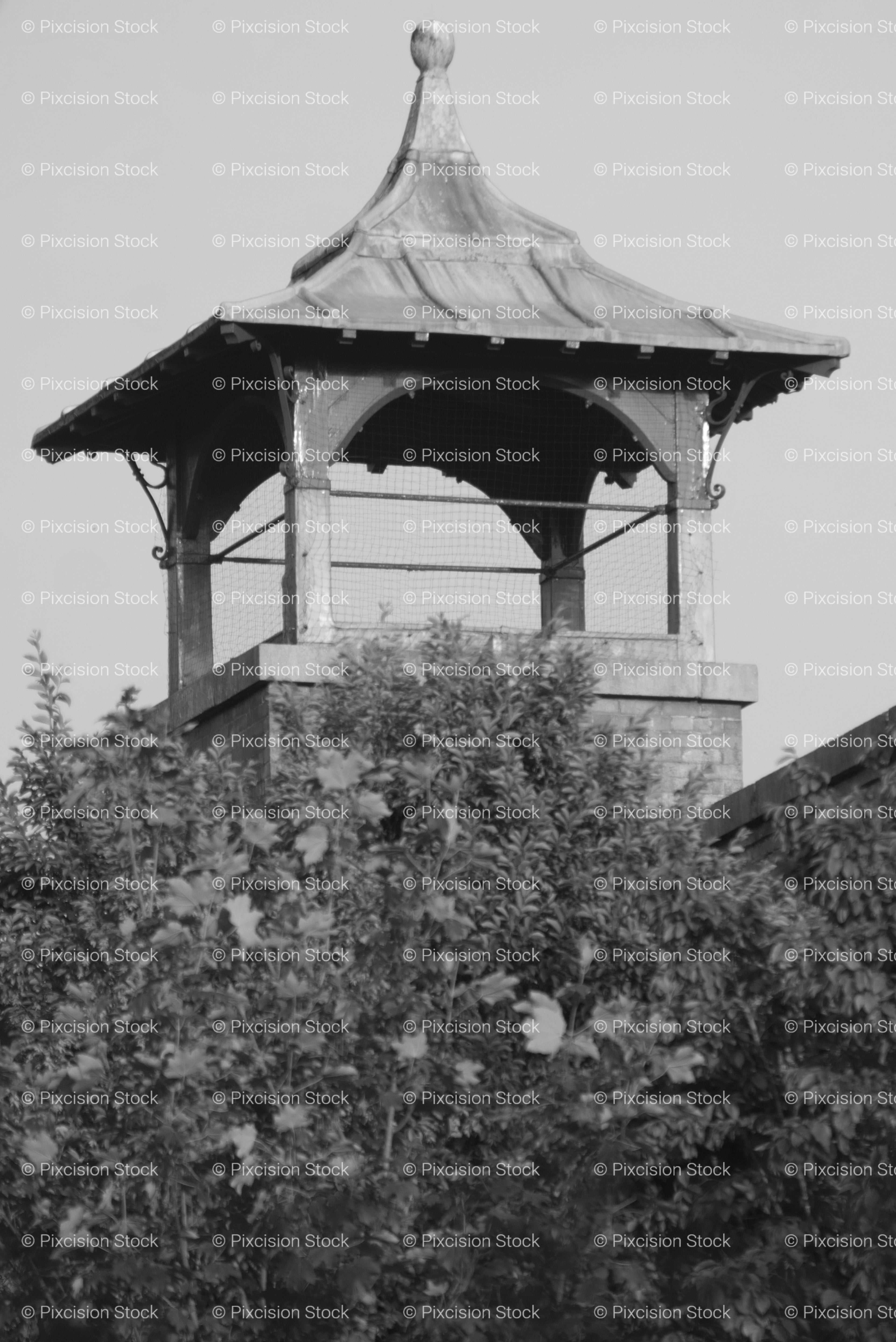 Ornamental Wooden Cupola Structure Atop a Building Roof (Monochrome)
