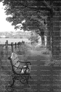 Side Profile of an Empty Bench Under a Row of Trees (Monochrome)