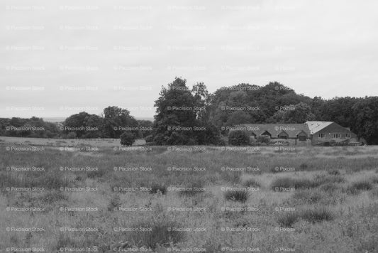 Rural Meadow Landscape with Distant Trees and Farm Buildings (Monochrome) - Stock Video