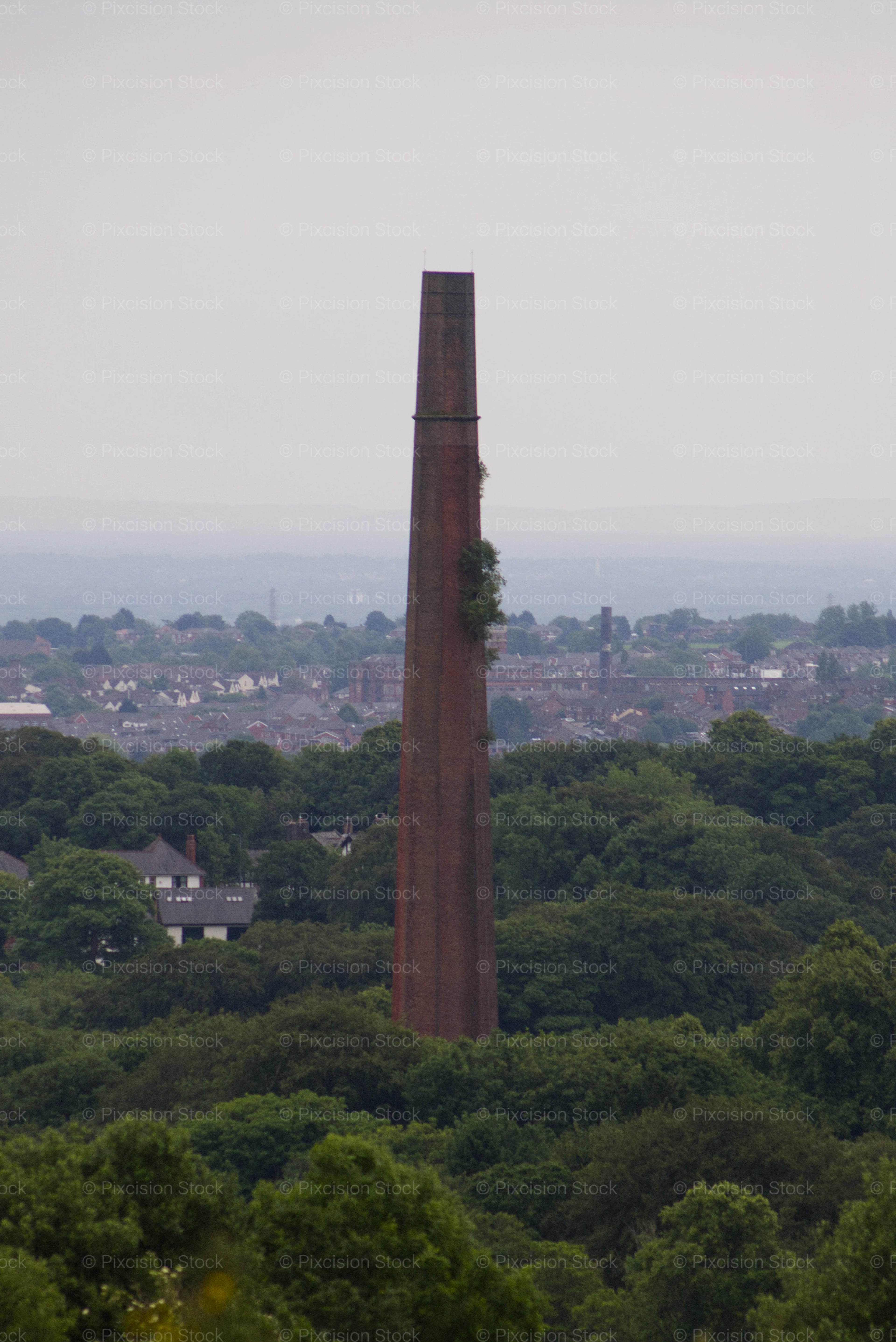 Historic Red Brick Industrial Mill Chimney Above Forest Landscape
